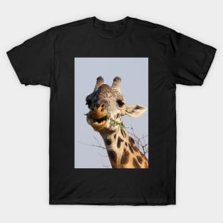 Maasai or Masai, Giraffe, Serengeti, Tanzania T-Shirt